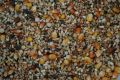 Pigeon feed 1kg. 