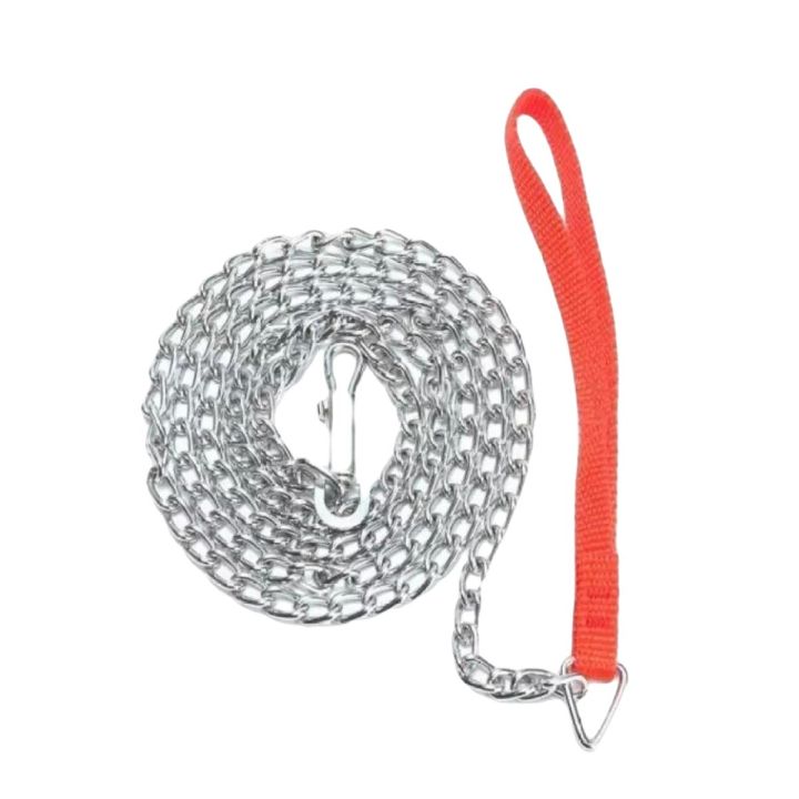 Metal Chain Leash For Dogs/ Cats