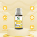 Lemon Aromatherapy Essential Oil - 100% Pure & Natural. 