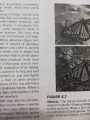 Zoology 10th Edition by Stephen Miller , John Harley. 