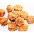 Dried Apricot. 