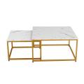 Modern Nesting Coffee Tables Set Center Table Set 2 in one Table. 