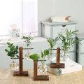 Hydroponic Vase-Vintage Desktop Plant Terrarium Planter Bulb Glass Vase- Water Planting Propagation Stations Home Decoration. 