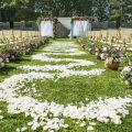 200 Pcs Silk Rose Petals Artificial Rose Flower Petal for Wedding Party Home Hotel Valentine's Day Decoration, White. 