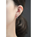 925 Silver Needle Simple Shiny Zircon Earrings Gold Plating Jewelry Crystal Stud Earrings Women. 
