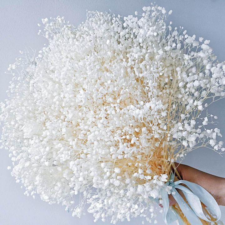 100g Dried Baby's Breath Flowers Bouquet White Dry Flowers Bulk,Real Natural Gypsophila Branches for Wedding, DIY Wreath Floral