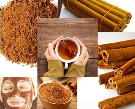 Cinnamon%20Powder%20(dar%20chinni%20Powder)%20%2050%20g%20Gold%20Tree%20-%20Image%204