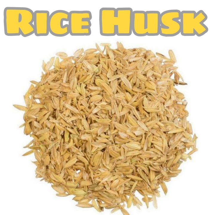 Rice husk (1kg)