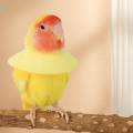 Parrot Anti Bite Collar, Parrot Neck Protective Collar, Anti Grab Feather Plucking, Breathable for. 