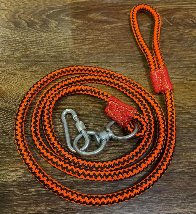 Rope%20Leash%20For%20Dogs%20-%205%20ft%20(%20Orange%20)%20-%20Image%202