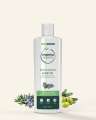 Mama Organic Rosemary Hair Oil For Long & Healthy Hair - Natural & Non Toxic - 100ml. 