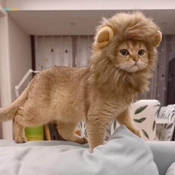 Pet Cat Costumes Mane Costume for Cat for Fancy Dress Christmas Party M