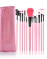12 Pieces Makeup Brushes Set With Beautiful Pink Pouch. 