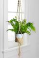 Lifestyle Glory Brand Macrame Wooden Wall Hanging Shelf I Decorating items I Decorating items for home I Wall decoration items I Wall art I Wall art hangings I Home decor items I Decoration pieces I Decoration items I Office Decoration. 