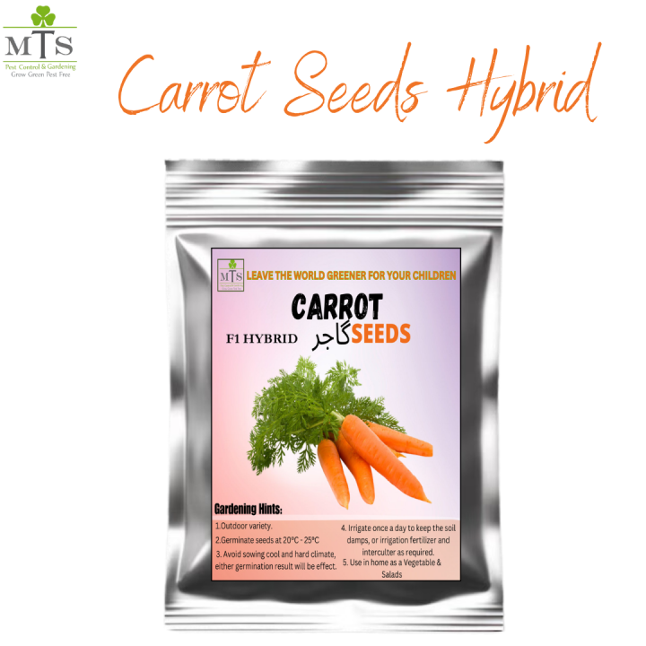 Top Quality Hybrid Carrot Seeds - Easy to Grow, High Nutrition