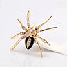 Fashion Spider Gift Women Collar Brooch Pin Clip Scarf Wedding Party Jewelry. 