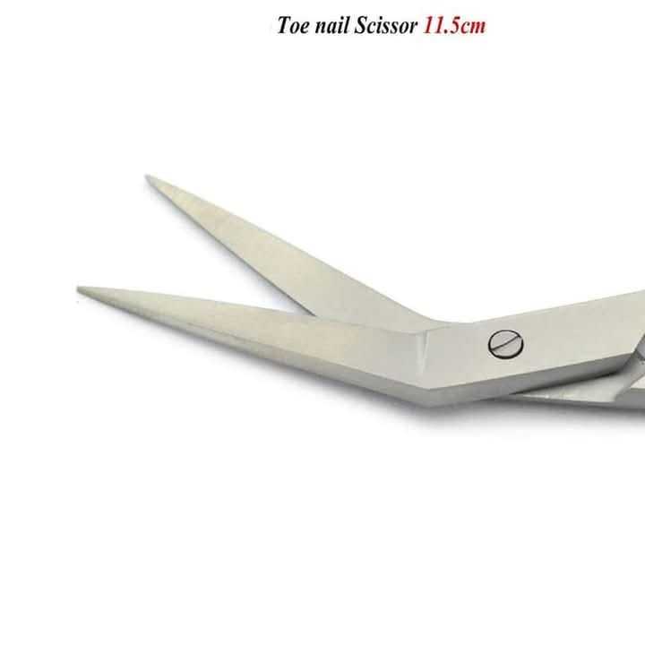 Premium%20Iris%20Angular%20Scissors%20%E2%80%93%2011.5%20cm%20Stainless%20Steel%20Tissue,%20Gum,%20Gingival%20Dissection%20Scissors%20%E2%80%93%20Dental%20Surgical%20Shears%20for%20Nail%20Clipping,%20Oral,%20and%20Clinical%20Use%20-%20Image%206