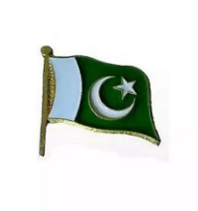 Pakistan Flag Badge (06 Pcs) | Pakistan Flag Badge For Shirt Independence Day Jashan E Azadi Pakistan Day 14 August 1947 Premium High Quality | 14 August Badge Premium Quality Badges | For boys and Girls | Azadi Independence day special Edition
