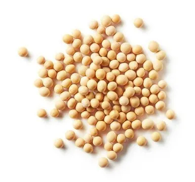 Manji%20Soya%20Meat%20Big,%20500%20g%20-%20Image%202