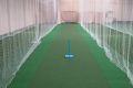 10 x 100 Standard Cricket Practice/Training Net Batting Cage Net Heavy Duty Backstop Practice Net Weatherproof Reinforced Cricket Regular Training Netting for Outdoor Backyard Ground Sports, Best For Training (White). 