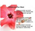 Hibiscus Powder 50 gm - Pak Herbs. 