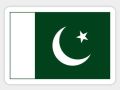 Pack of 50- 14 august independence day Stickers for Girls Sticker For Boys Stickers - Azadi Day Sticker Pakistan Day sticker For Laptop & Mobile Sticker size 3 Inch x 3 Inch or 2 Inch X 2 Inch Each Sticker Size. 