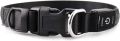PetIsay Ultimate LED Dog Collar - USB Rechargeable with Water Resistant - Reflective Light up Dog Collar Flashing Light - Adding Safety to Night-time Walks(Red, S). 
