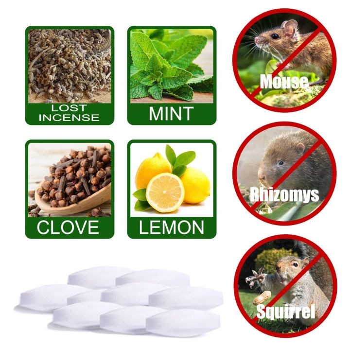 nnoregretsss Mice Out For House Peppermint Oil For Mice And Rats Mouse Squirrel For Home Garages RV Closets Trucks Car Engines (20 PCS)