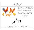 Premium Chicken Feed & Dana – 500gm | High Protein Mix, Egg Booster & Growth Starter – All Stages Feed (Chicks, Hens & Ducks). 