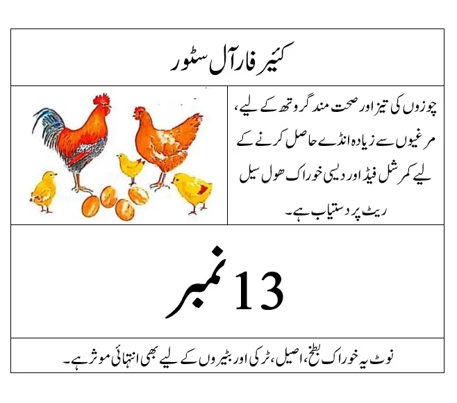 Premium%20Chicken%20Feed%20&%20Dana%20%E2%80%93%20500gm%20%7C%20High%20Protein%20Mix,%20Egg%20Booster%20&%20Growth%20Starter%20%E2%80%93%20All%20Stages%20Feed%20(Chicks,%20Hens%20&%20Ducks)%20-%20Image%204