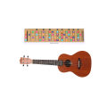 Baoer Color Coded Ukulele Fretboard Note Chart, Learn Guitar And Music Theory, Ukulele Chord Chart For All Levels Boys Girls. 