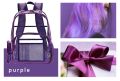 Safa High Quality Transparent School and College Backpack Bag for GIrls. 