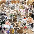 10/30/50PCS Funny Meme Cat Meow Stickers Hilarious Animal Decal for Laptop Motorcycle Luggage Computer Phone Car Guitar Bike. 