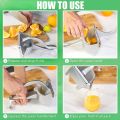 Food Press Manual Juicer Stainless Steel. 