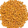 Fenugreek Seed - Methi Dana - 500gm. 