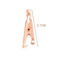 Small Clip Copper Tag Remover Skin Care Wart Remover Micro Strip Cleaning Skin Tag Removal Kit Facial Beauty Makeup Tools 1/2pcs. 