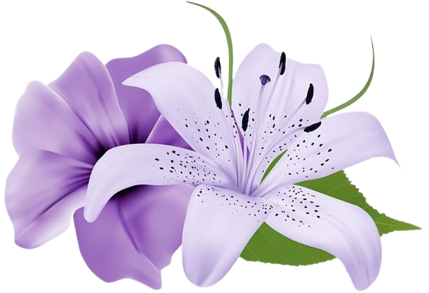 Prox%20-%20Premium%20Laundry%20Liquid%20Detergent%20Cleaning%20-%20%20Laundry%20Liquid%205%20Litre%20-%20Made%20in%20Pakistan%20-%20Image%204