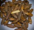 Chilgoza - Pine Nuts   - 1 kg. 
