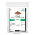 Organic Reishi Mushroom Powder 100 gm. 
