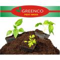 Peat Moss For All Type Seedling Professional Garden Soil Mix. 