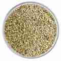 Bajra - Pets Premium Pearl Millet Seeds For Small & Large Birds - 10 KG. 