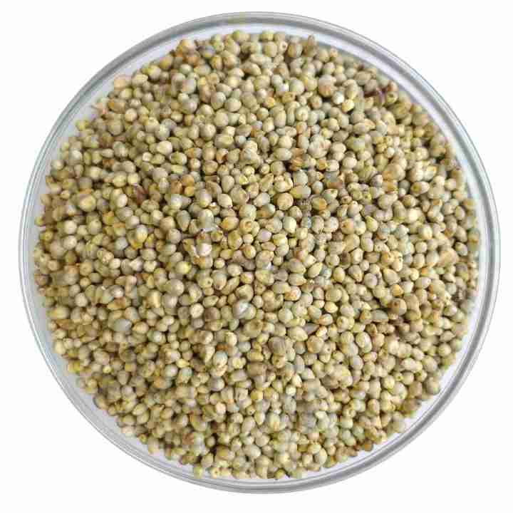 Bajra - Pets Premium Pearl Millet Seeds For Small & Large Birds - 10 KG