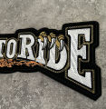 Eagle Embroidery Patch for Jacket Clothing Back Decoration Repair Motorcycle Rider Animal Claw Large Iron or Sewing Applique. 