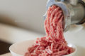 Heavy Duty Electric Meat Grinder & Mincer / Qeema Wali Machine. 