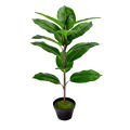2Pcs Faux Banana Tree Tropical Monstera Leaf Turtle Large Palm Leaves Fern Green Bushes Shrubs Greenery Decor. 