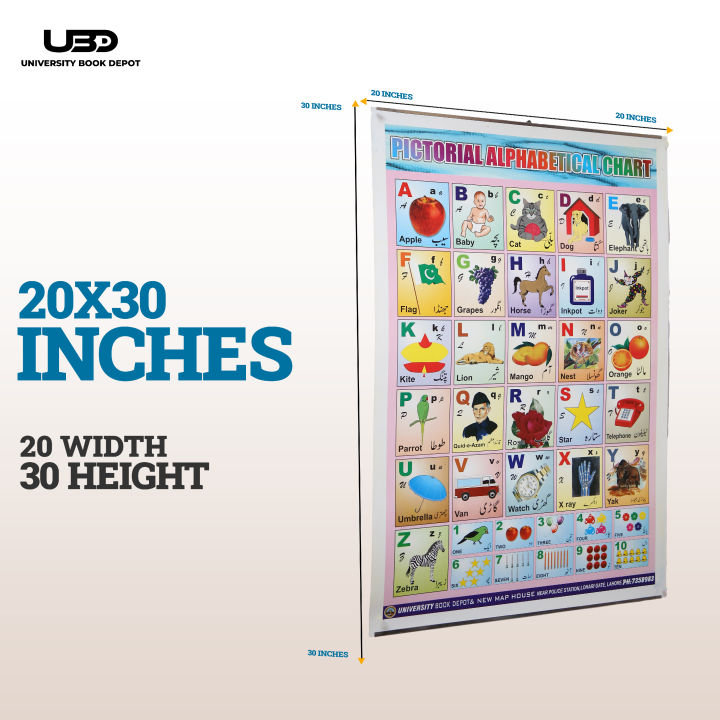 Pack%20of%208%20Wall%20Charts%20for%20Classrooms%20and%20Preschool%20Decoration%20%7C%20Wall%20Posters%20with%20HD%20Pictures%20for%20Kids%20Early%20Education%20on%20200%20Grams%20Laminated%20Card%2020*30%20inches%20-%20Image%202