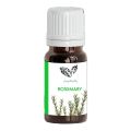 Bundle of 4, Pakistan pansar’s Orange, Tea Tree, Sandalwood and Rosemary Essential oils for skin care:. 