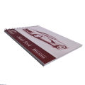 Set of Sketch Book & Sketch Pencils (20 A4 Sheets and 12 Pencils). 