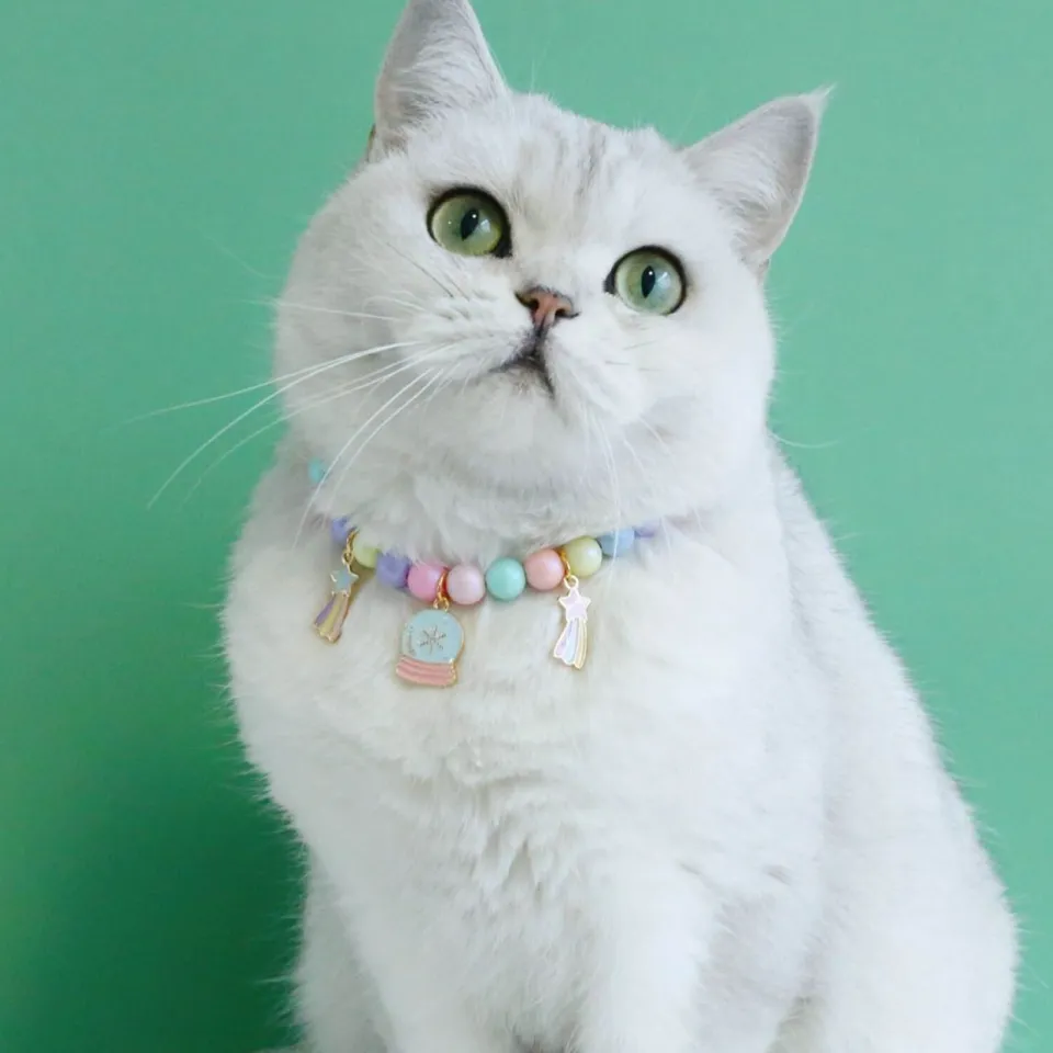 Cat Collar Aable Fashion Cat Dogs Necklace Loop Daraz.pk