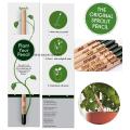 Sprout Plant Pencil With Seed Home Office Garden Decor Sprouting Pencils with Plants Seeds. 